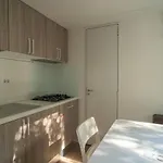 Romea Family مكان تخييم