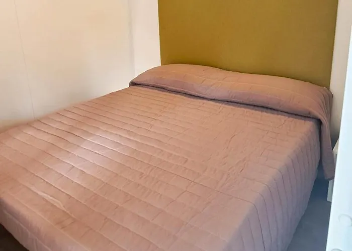 キャンプ場 Romea Family