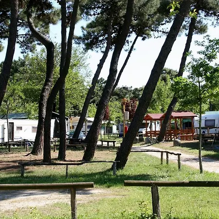 Romea Family Casal Borsetti