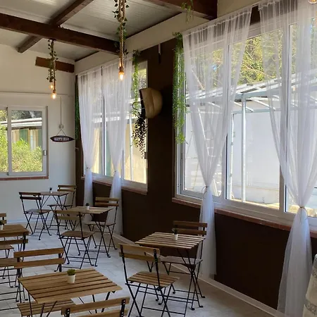 キャンプ場 Romea Family