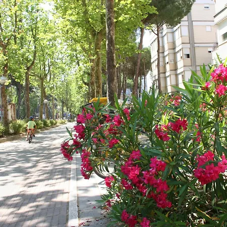 Romea Family Casal Borsetti