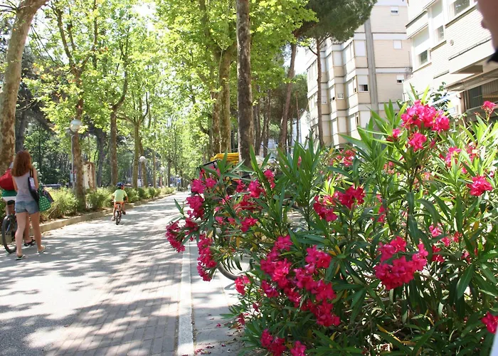 Romea Family Casal Borsetti